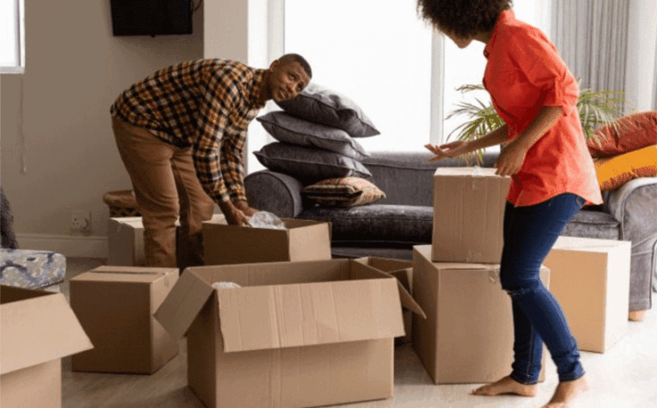sv11-Home-Moves
